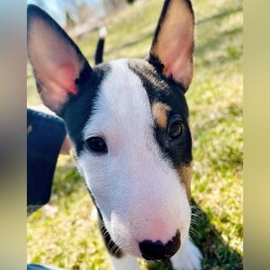 Meet your Posher, Raquel